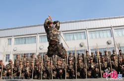 开云APP-中亚实力新兵崭露头角，勇夺奖牌