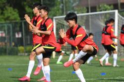 开云体育官方网站-小将崭露头角，贡献突出或领队人气