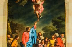 开云体育APP下载-华伦西亚击败马略卡岛主场实力胜出