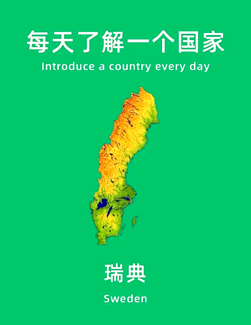 斯堪的纳维亚德比：瑞典不敌挪威