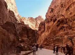 包含坎塔伦拉主场佩特雷斯库克，甩出捕手五个耍高压的词条